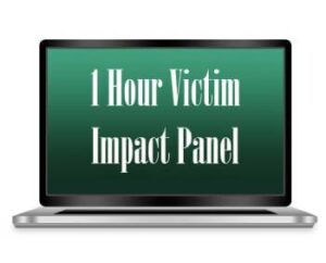 1 Hour Online Victim Impact Panel